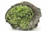 Peridot Crystals in Basalt - Arizona #368586-1